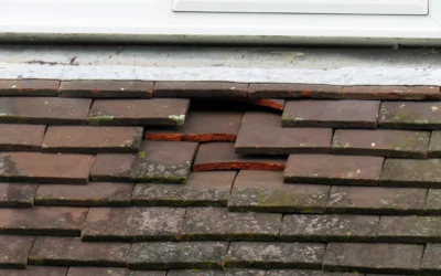 Roof repair or replacement? A Nebraska homeowner’s guide